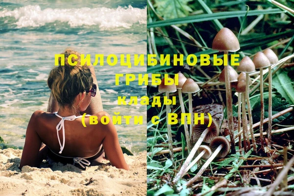 стафф Алексин